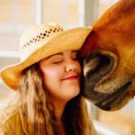 approaching grooming horse petshyme