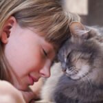 Cat Companion Petshyme