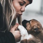 Dog Massage Petshyme