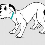 Dogs body Language Petshyme