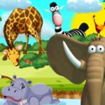 Forest Animals Petshyme