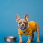 Optimal Health Dog Food petshyme
