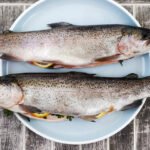 Salmon Types Petshyme