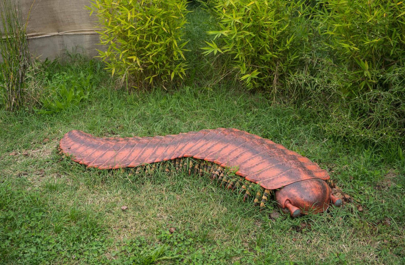 Arthropleura