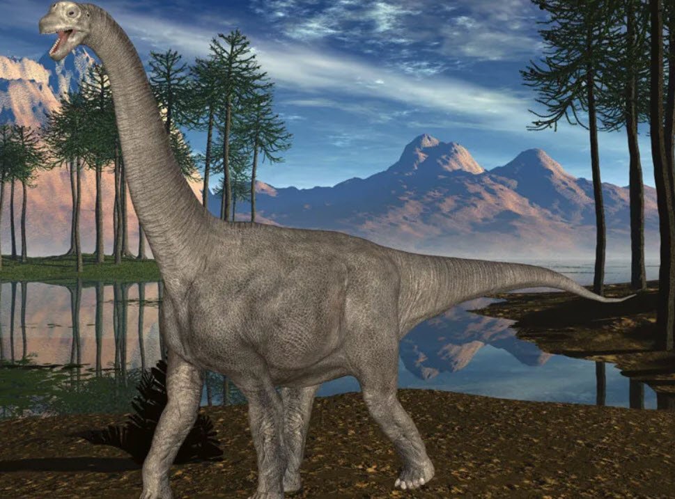 Camarasaurus