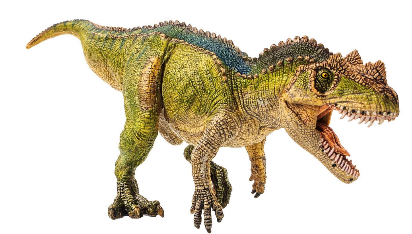 Ceratosaurus