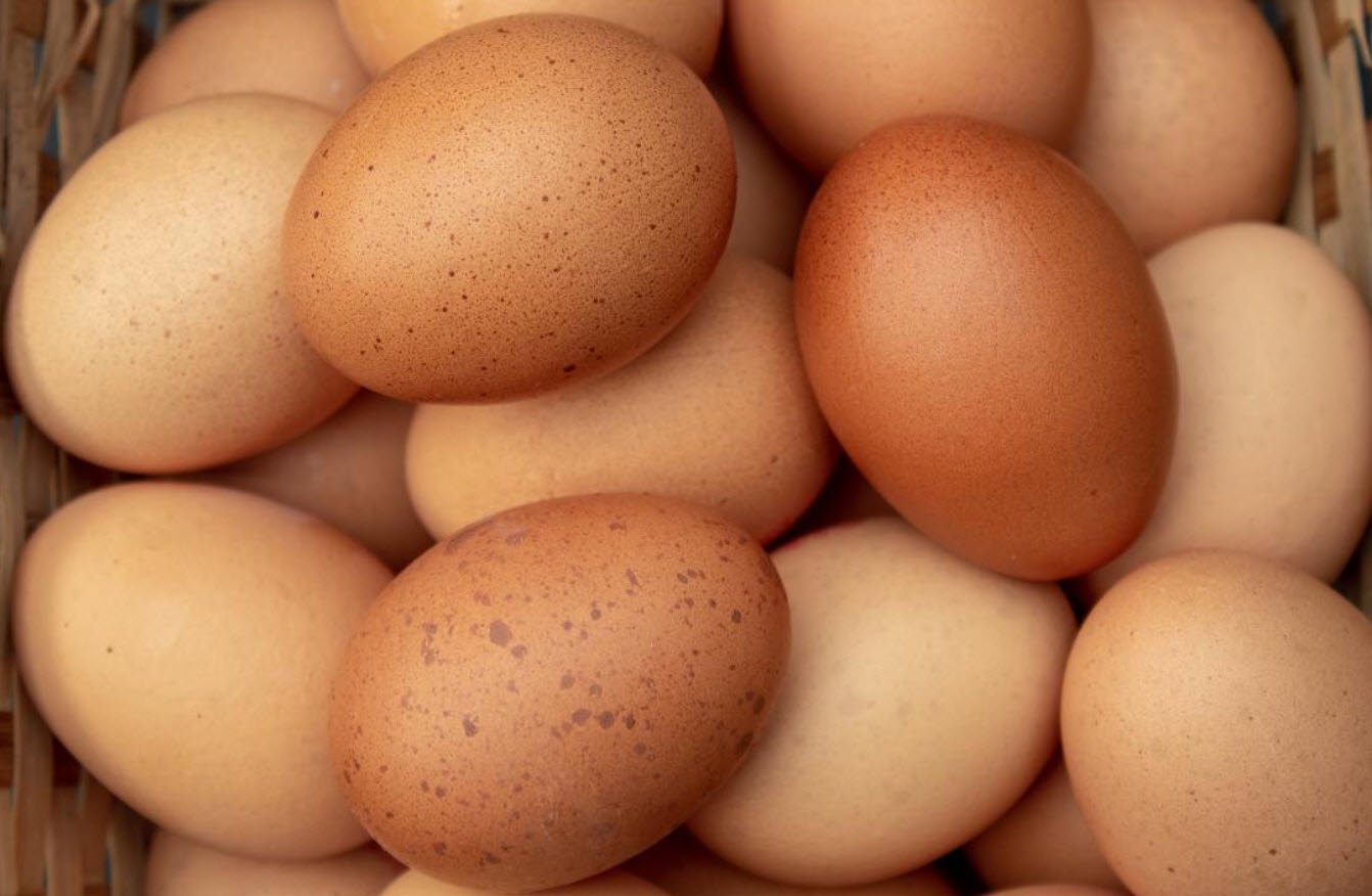 A Guide to Feeding Chickens for Great Tasting Eggs Pets Hyme