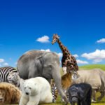 Mammals