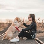 Dog Train Pro